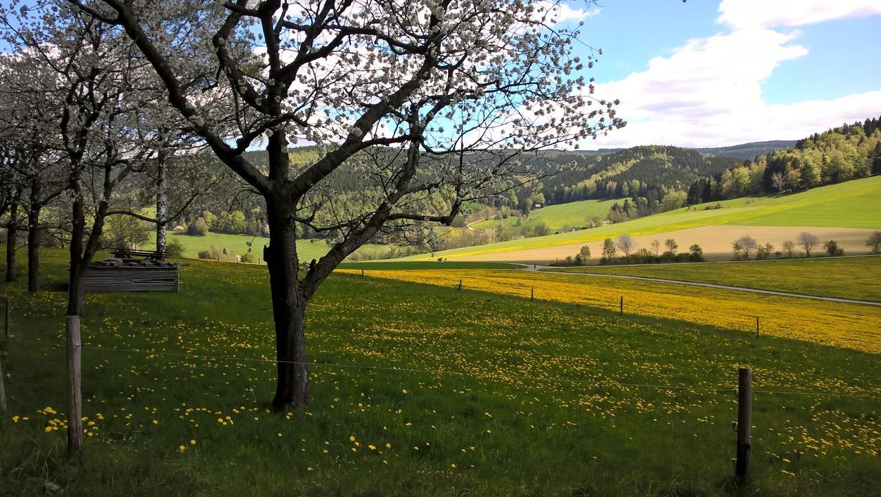 Ferienwohnungen Weißflog Schwarzenberg/Erzgebirge Exterior foto